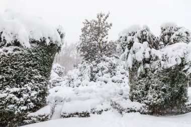 Square of East in madrid theater covered by snow from the storm philomena
