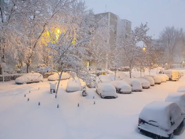 Snowscape in a park in Madrid due to the snowstorm Filomena.