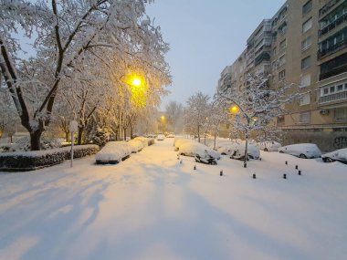 Snowscape in a park in Madrid due to the snowstorm Filomena.