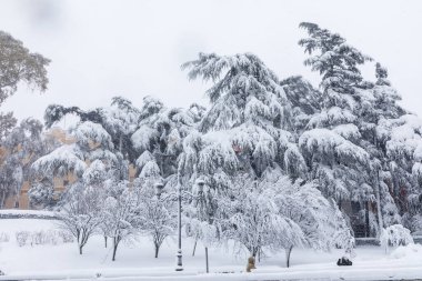 Snowscape in a street in Madrid due to the snowstorm Filomena.