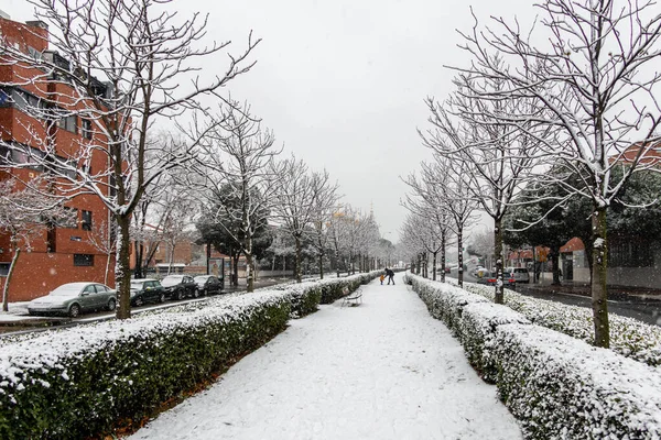 雪に覆われたマドリードの公園の庭園 Canillas Hortaleza地区 — ストック写真