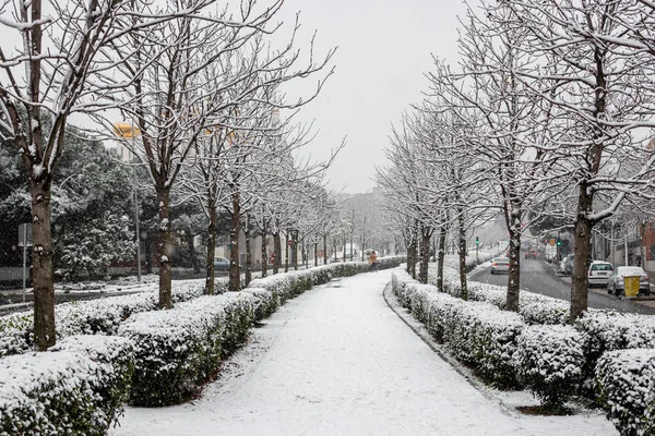 雪に覆われたマドリードの公園の庭園 Canillas Hortaleza地区 — ストック写真