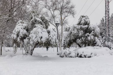 Snowscape in a park in Madrid due to the snowstorm Filomena in the Carabanchel neighborhood, Madrid