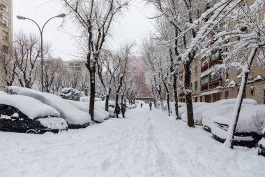 Snowscape in a park in Madrid due to the snowstorm Filomena in the Carabanchel neighborhood, Madrid