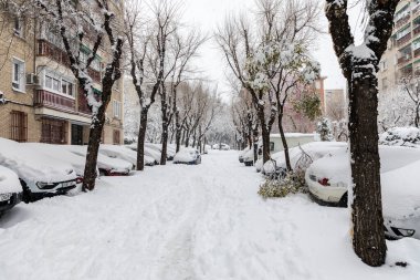Snowscape in a park in Madrid due to the snowstorm Filomena in the Carabanchel neighborhood, Madrid