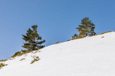 On the way up to the Penalara glacier circus area, in the Guadarrama mountains of Madrid