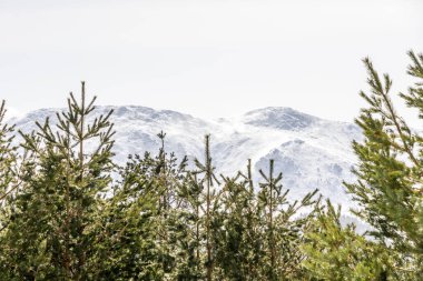 On the way up to the Penalara glacier circus area, in the Guadarrama mountains of Madrid