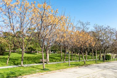 Madrid Enrique Tierno Galvan park, where the planetarium is located