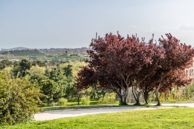 Madrid Enrique Tierno Galvan park, where the planetarium is located