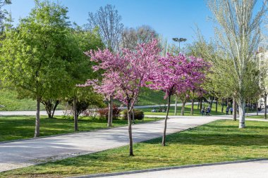 Madrid Enrique Tierno Galvan park, where the planetarium is located