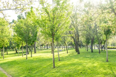 Madrid Enrique Tierno Galvan park, where the planetarium is located