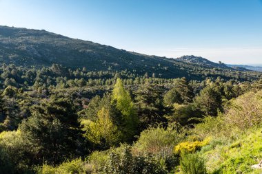 hiking route starting from the Barranca car park in the Sierra de Guadarrama, Navacerrada, Madrid
