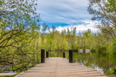 area of the sierra de guadarrama in madrid known as the forest of finland