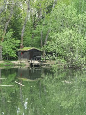 area of the sierra de guadarrama in madrid known as the forest of finland