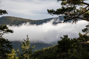spring landscape in the sierra de guadarrama in Madrid, in the area of the town of Rascafria