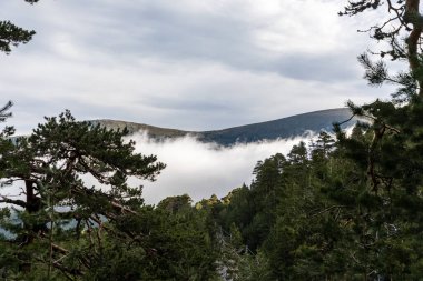spring landscape in the sierra de guadarrama in Madrid, in the area of the town of Rascafria