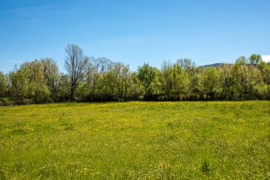 spring landscape in the sierra de guadarrama in Madrid, in the area of the town of Rascafria
