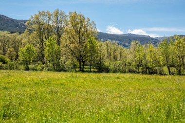 spring landscape in the sierra de guadarrama in Madrid, in the area of the town of Rascafria