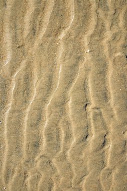 Yazın bir kumsalın kumsal desenine yakın çekim