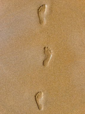 sand with footprints on the beach