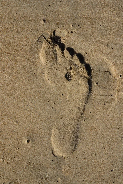 Sand Footprints Beach — ストック写真