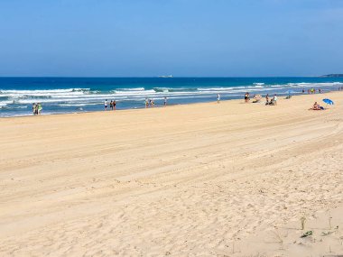 jellyfish in the Sea in beach of La Barrosa, Cadiz, Spain