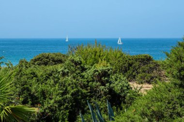 Sea in beach of La Barrosa, Cadiz, Spain