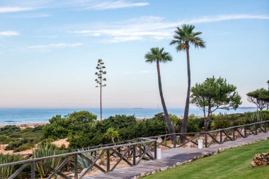 wooden walkways to access the beach of La Barrosa, Cadiz, Spain