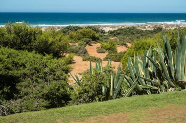 Sea in beach of La Barrosa, Cadiz, Spain