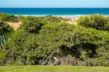 Sea in beach of La Barrosa, Cadiz, Spain