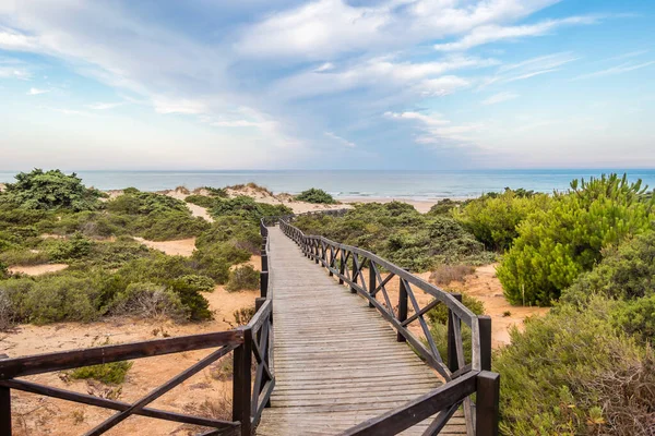 wooden walkways to access the beach of La Barrosa, Cadiz, Spain