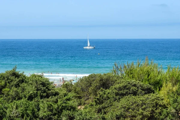 pleasure boat passing in front of the beach of La Barrosa, Cadiz, Spain