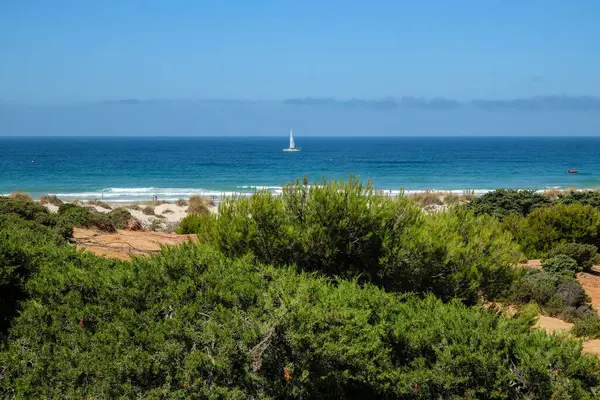 pleasure boat passing in front of the beach of La Barrosa, Cadiz, Spain