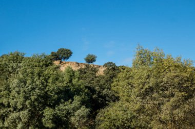 park called mount of El Pardo, Madrid. Spain