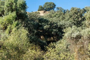 park called mount of El Pardo, Madrid. Spain
