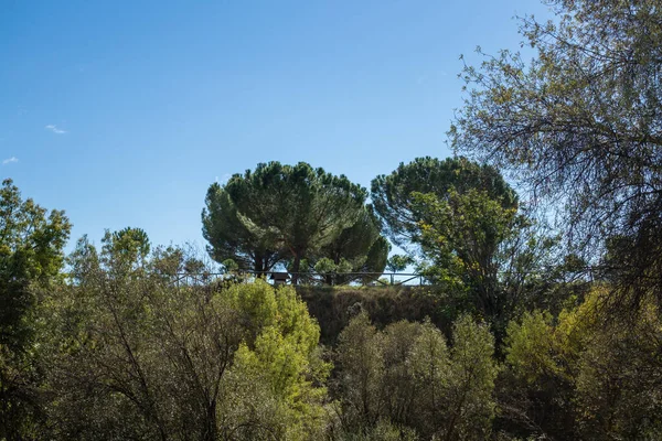 Park Called Mount Pardo Madrid Spain — 스톡 사진
