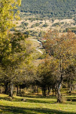 İspanya 'nın Madrid eyaletindeki Sierra de Guadarrama' dan geçen sonbahar renkleriyle Lozoya Vadisi