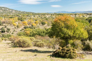 İspanya 'nın Madrid eyaletindeki Sierra de Guadarrama' dan geçen sonbahar renkleriyle Lozoya Vadisi