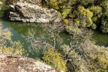 İspanya 'nın Madrid eyaletindeki Sierra de Guadarrama' dan geçen sonbahar renkleriyle Lozoya nehri.