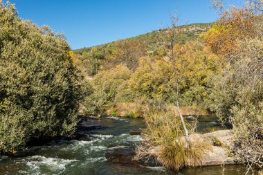 İspanya 'nın Madrid eyaletindeki Sierra de Guadarrama' dan geçen sonbahar renkleriyle Lozoya nehri.