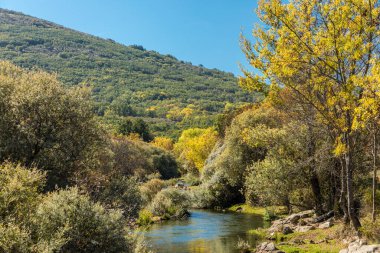 İspanya 'nın Madrid eyaletindeki Sierra de Guadarrama' dan geçen sonbahar renkleriyle Lozoya nehri.
