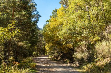 İspanya 'nın Madrid eyaletindeki Sierra de Guadarrama' dan geçen sonbahar renkleriyle Lozoya nehri.