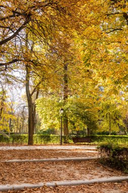 Buen Retiro famous park located in the downtown Madrid, Spain during autumn
