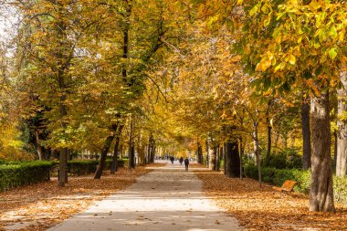 Buen Retiro famous park located in the downtown Madrid, Spain during autumn