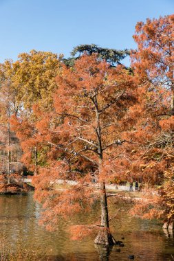 Manzara Madrid: Crystal Palace Retiro Park