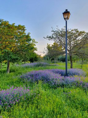 park of the crosses in Madrid