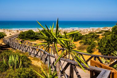 Sancti Petri 'deki La Barrosa plajında gün batımı, Cadiz, İspanya