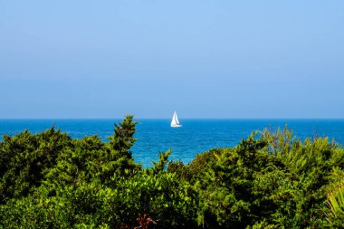 pleasure boats passing in front of La Barrosa beach in Sancti Petri Cadiz