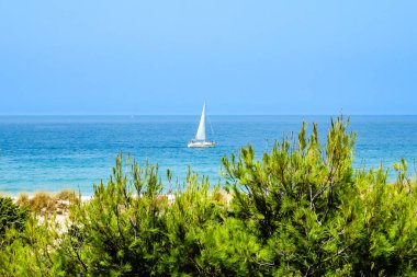 pleasure boats passing in front of La Barrosa beach in Sancti Petri Cadiz