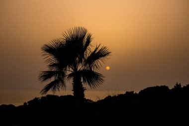 Sancti Petri 'deki La Barrosa plajında gün batımı, Cadiz, İspanya